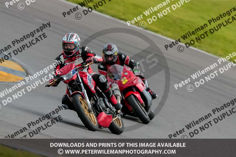 PJ Motorsport 2019;anglesey no limits trackday;anglesey photographs;anglesey trackday photographs;enduro digital images;event digital images;eventdigitalimages;no limits trackdays;peter wileman photography;racing digital images;trac mon;trackday digital images;trackday photos;ty croes